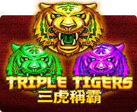 slotxo สล็อตxo triple tiger