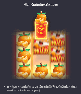 Fortune Tiger พีจีสล็อต เว็บตรง บนเว็บ SLOTXO