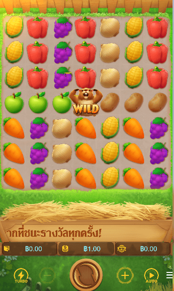 Groundhog Harvest เกมค่าย PG SLOT เว็บตรง บนเว็บ SLOTXO