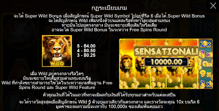 Hot Safari สล็อต PP SLOT