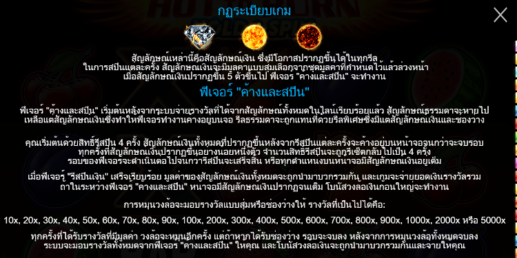 Hot to Burn® Hold and Spin สล็อต PP SLOT
