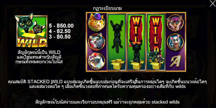 The Catfather Part II สล็อต PP SLOT
