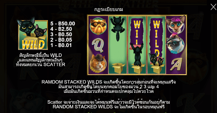 The Catfather สล็อต PP SLOT