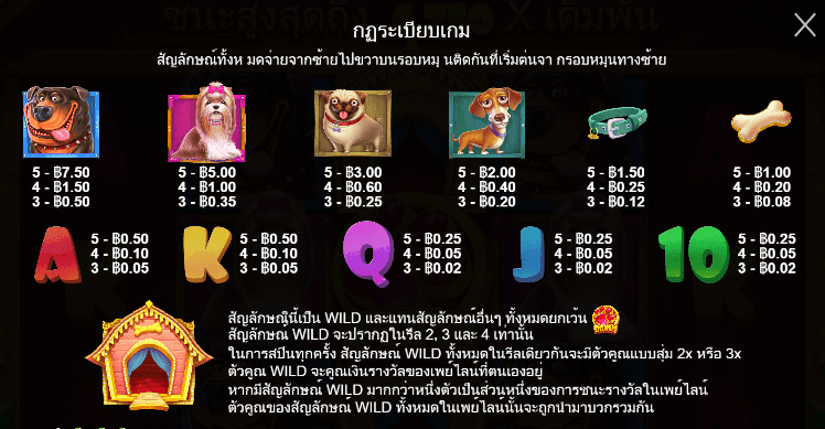 The Dog House สล็อต Pragmatic Play ฟรีเครดิต