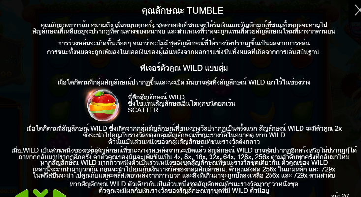 Wild Beach Party สล็อต PP SLOT