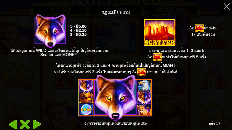 Wolf Gold สล็อต PP SLOT