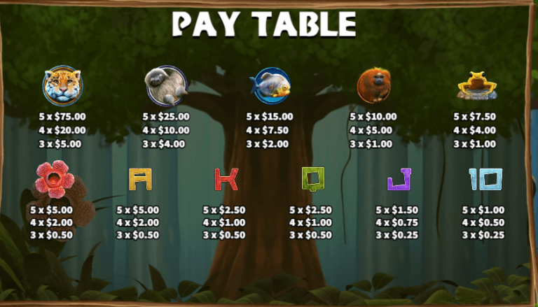อัตราการจ่ายเงิน KA Gaming เว็บตรง Primeval Rainforest