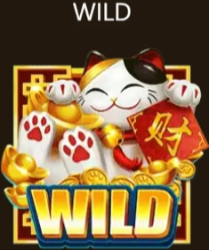 Coin Cat ASKMEBET ถอนเงิน slotxo