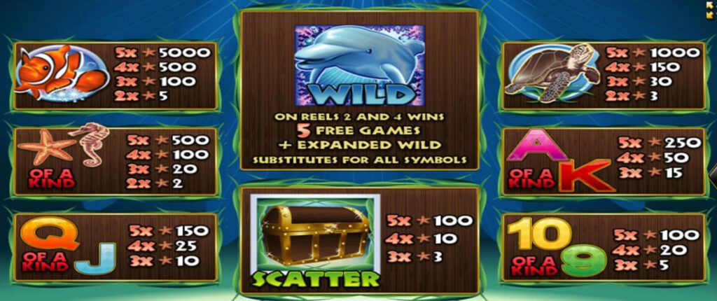 Dolphin Reef ACE333 สล็อต xo