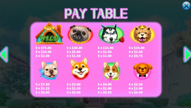 Who Let the Dogs Out KA GAMING slotxo-xo เว็บตรง