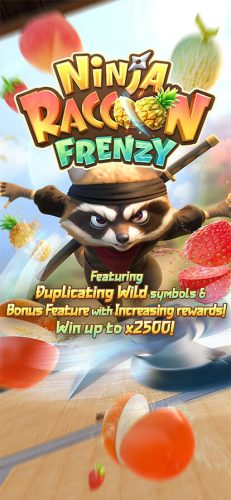 Ninja Raccoon Frenzy Pgslot slotxo-xo เว็บตรง